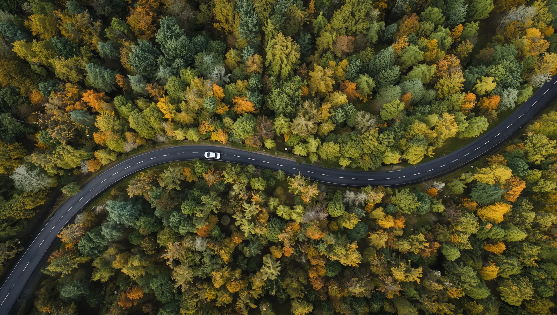 Sächsisches Burgenland